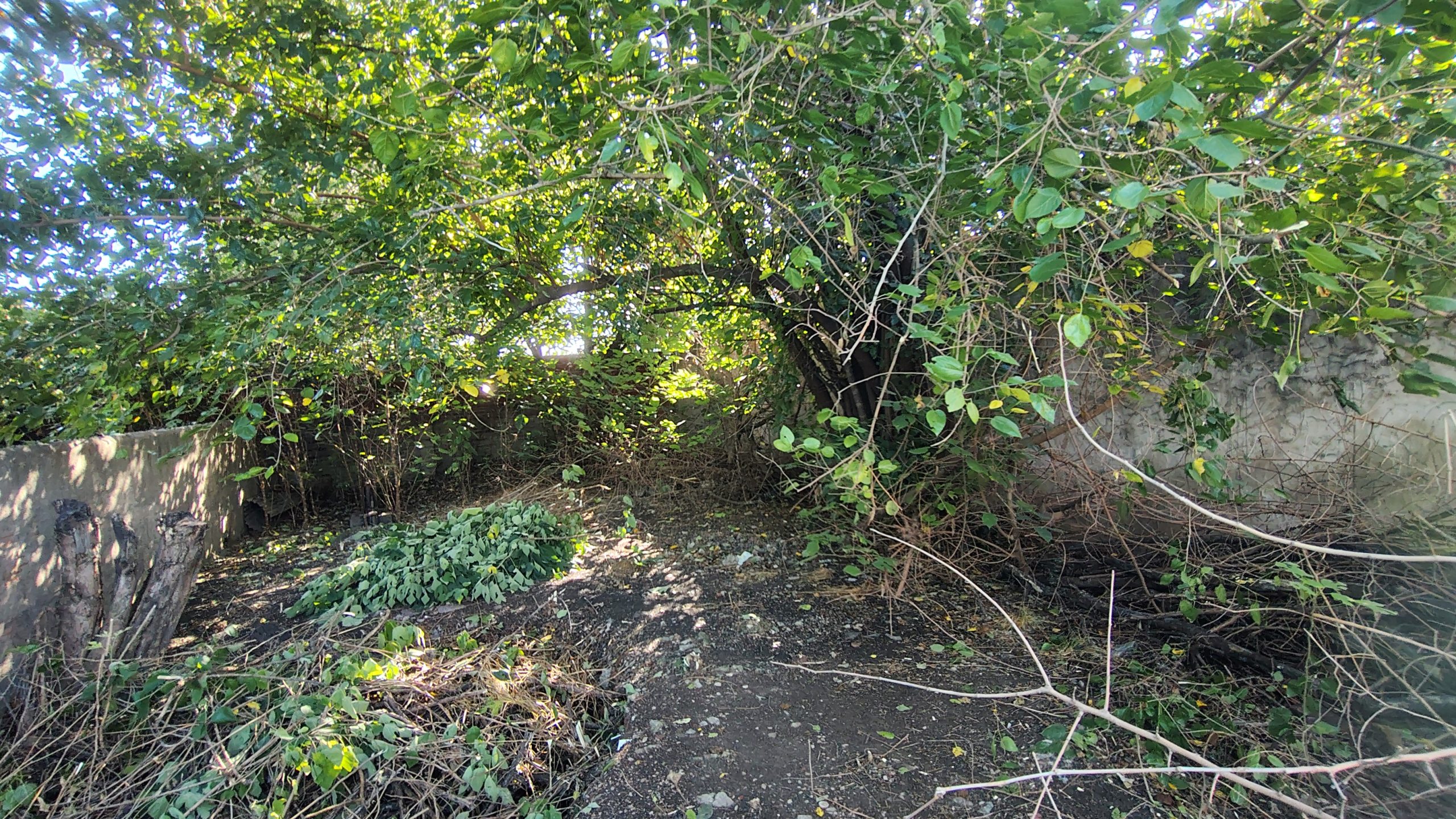 IMG_20260318_092545473_HDR