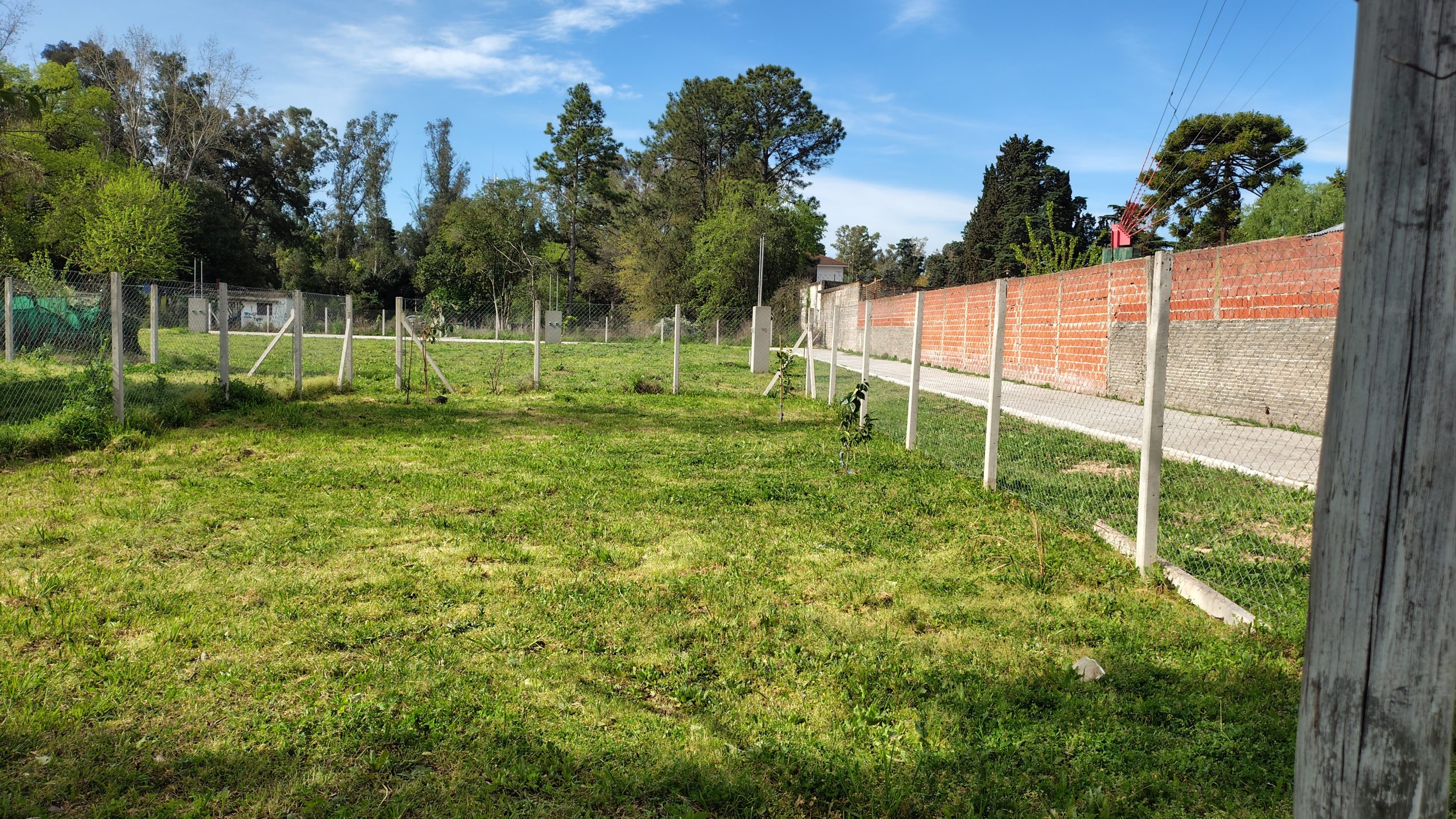 IMG_20260923_154357675_HDR